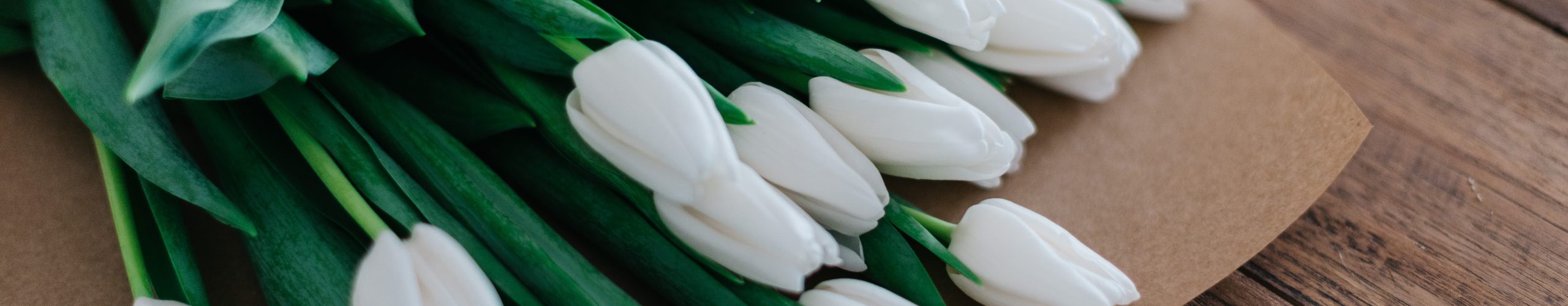 White Tulips, Photo by Roman Kraft on Unsplash
